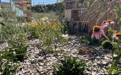 Une belle entrée pour les Castors