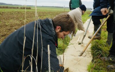 Plantation de haies à la Ferme Guillemant