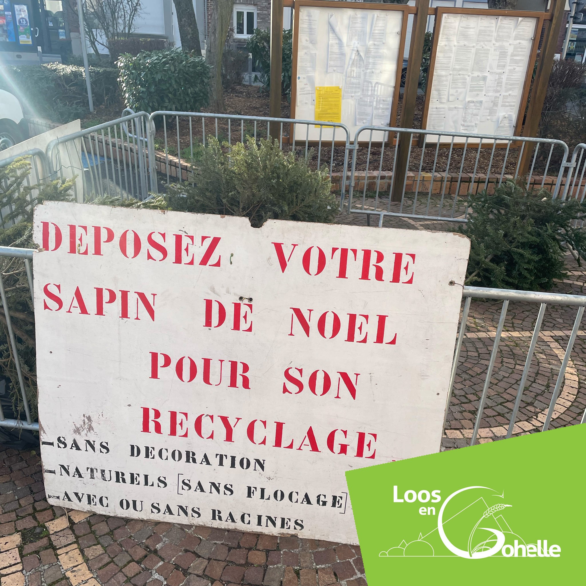 Recyclez votre sapin naturel