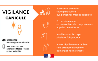 VIGILANCE CANICULE : ADOPTONS LES BONS REFLEXES